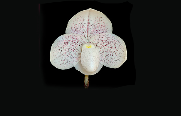 Slide 2
