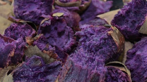 okinawabeniimo มันม่วงโอกินาว่า