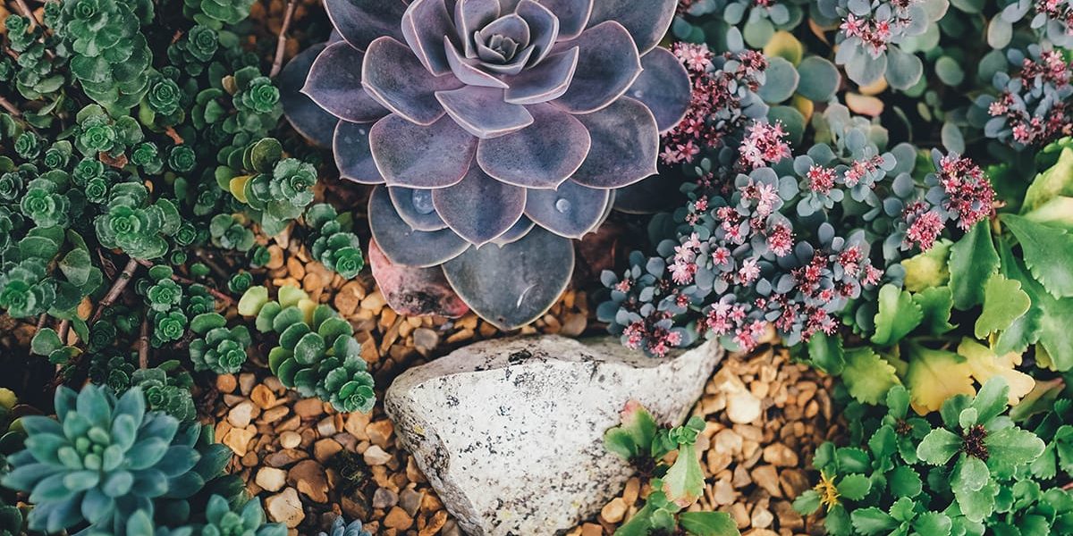 annie-spratt-hS46bsAASwQ-unsplash