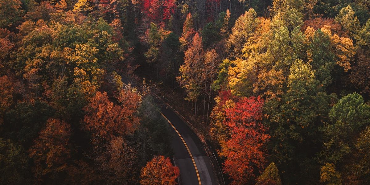 chad-madden-cPa-7yByq3o-unsplash