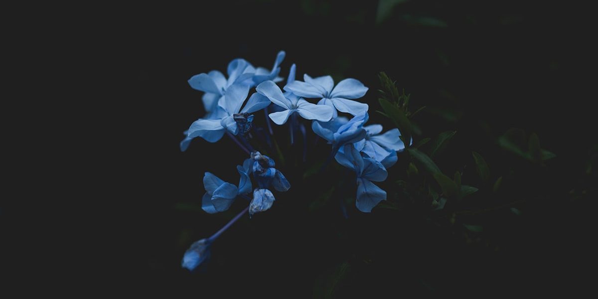 claire-brear-unsplash-min